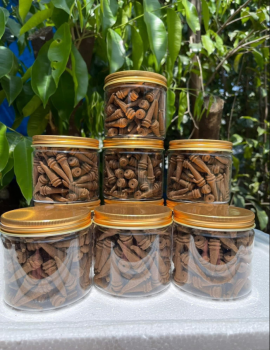 Combo nụ trầm hương và lư xông